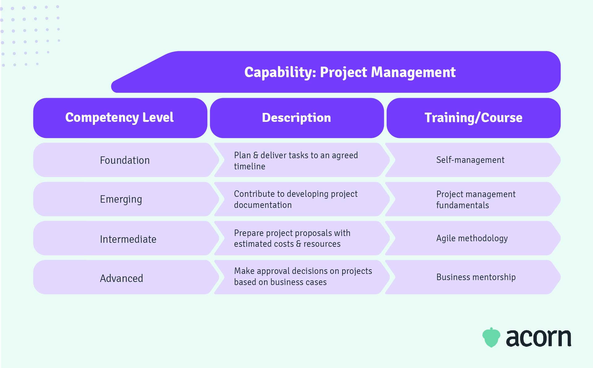 Table showing the ascending levels of proficiency for a project management capability 