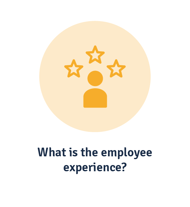 What is the employee experience
