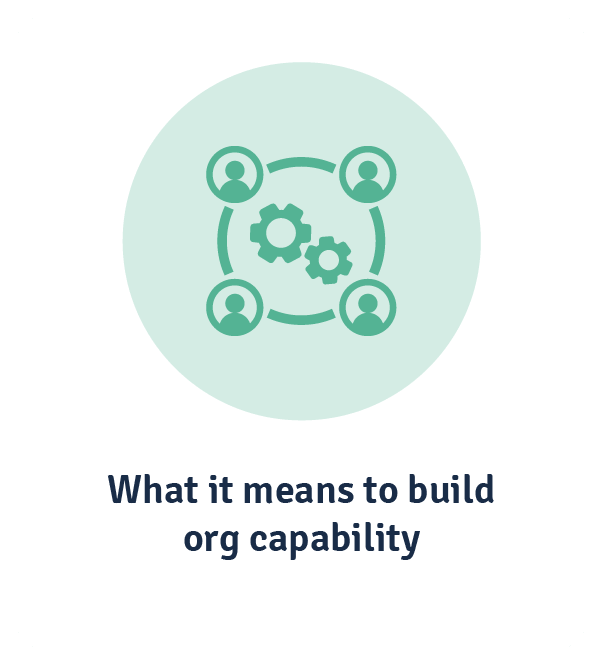building organisational capability