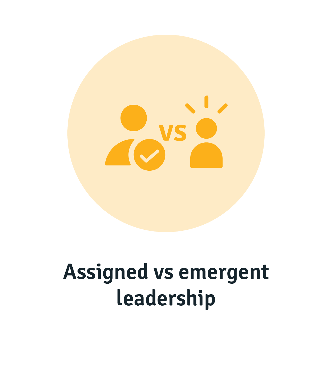 Assigned vs emergent leadership