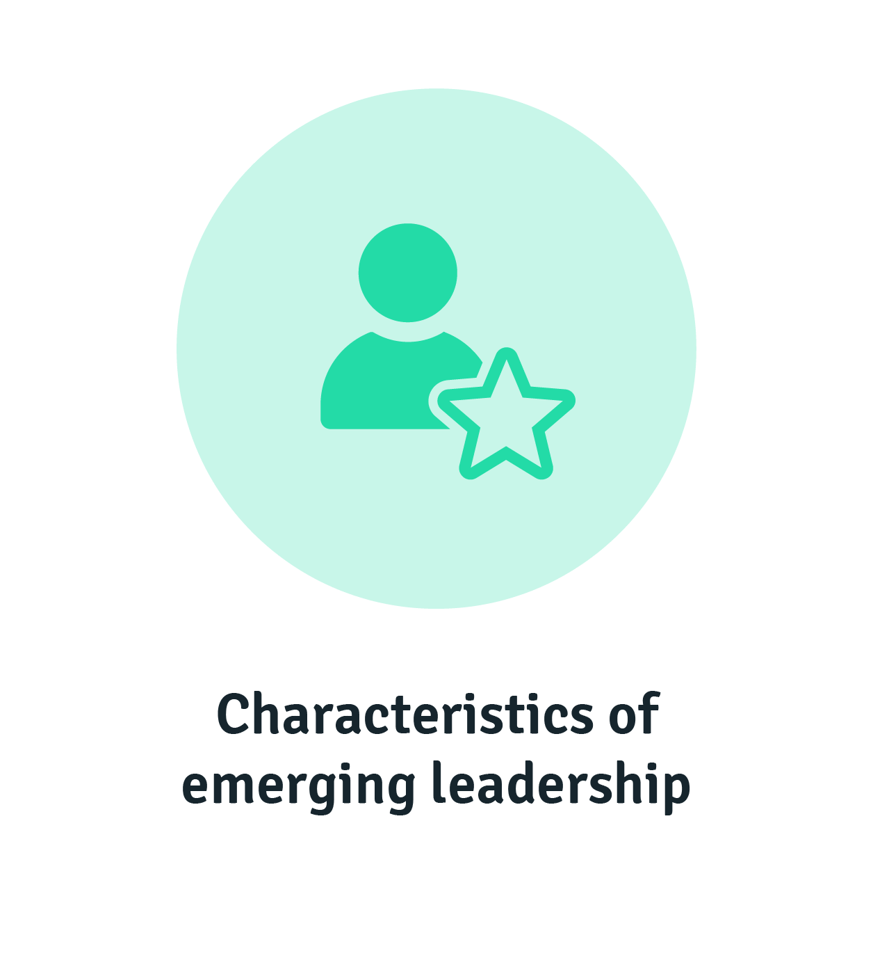 Characteristics of emerging leadership