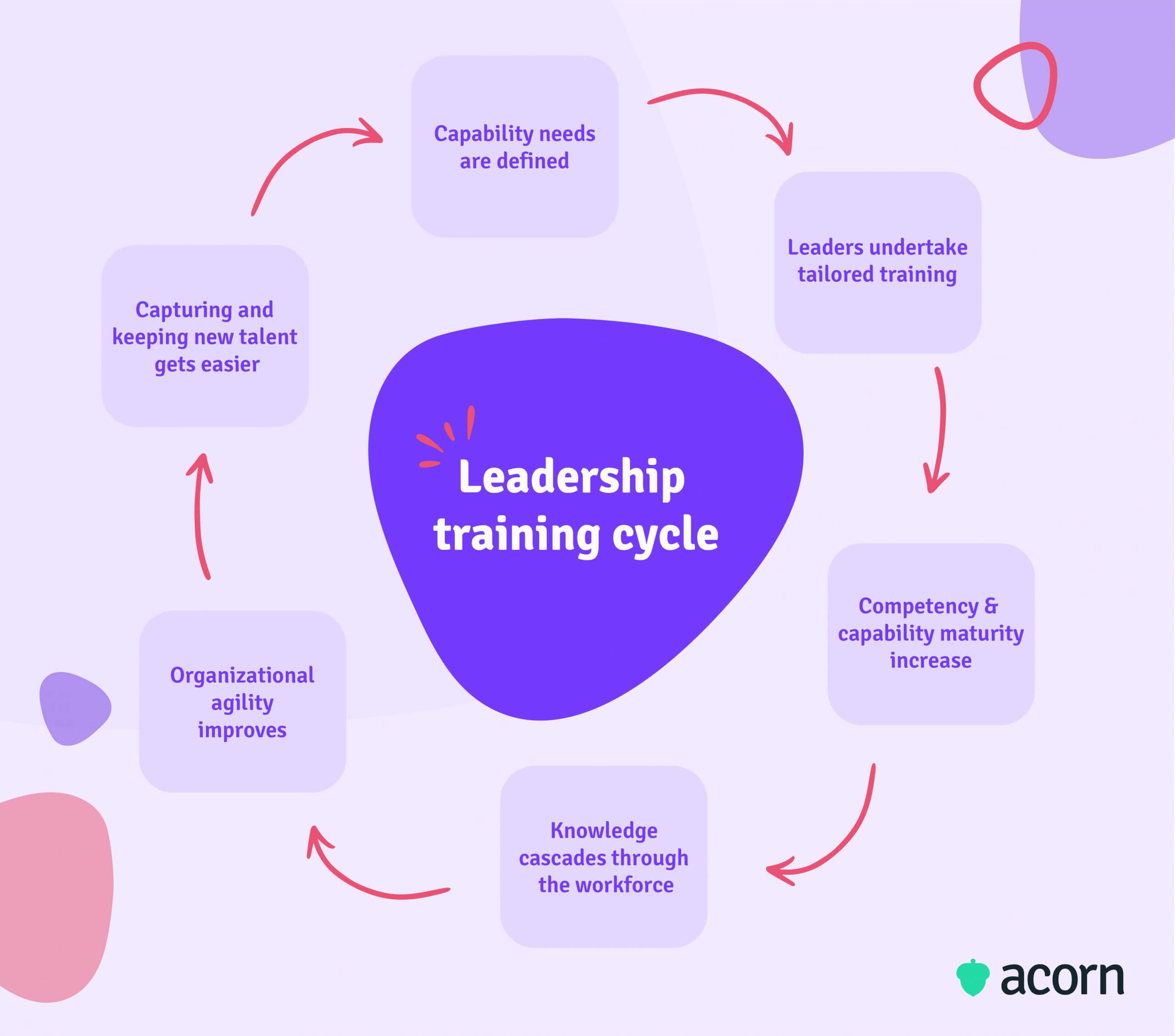 Infograhpic of the leadership development cycle