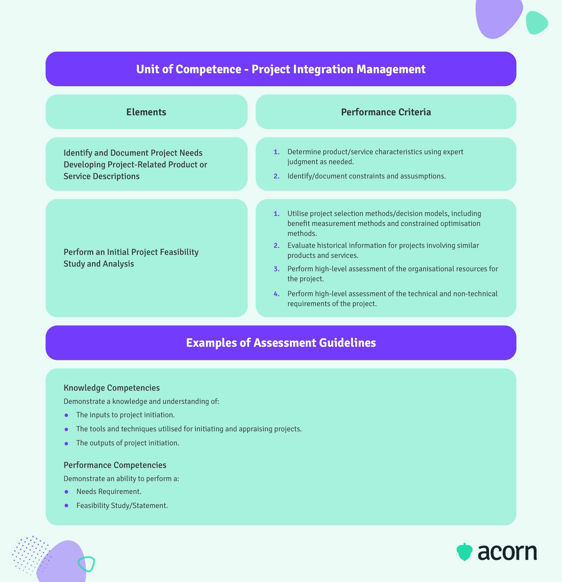 Infographic of PMI standard knowledge and performance competency example