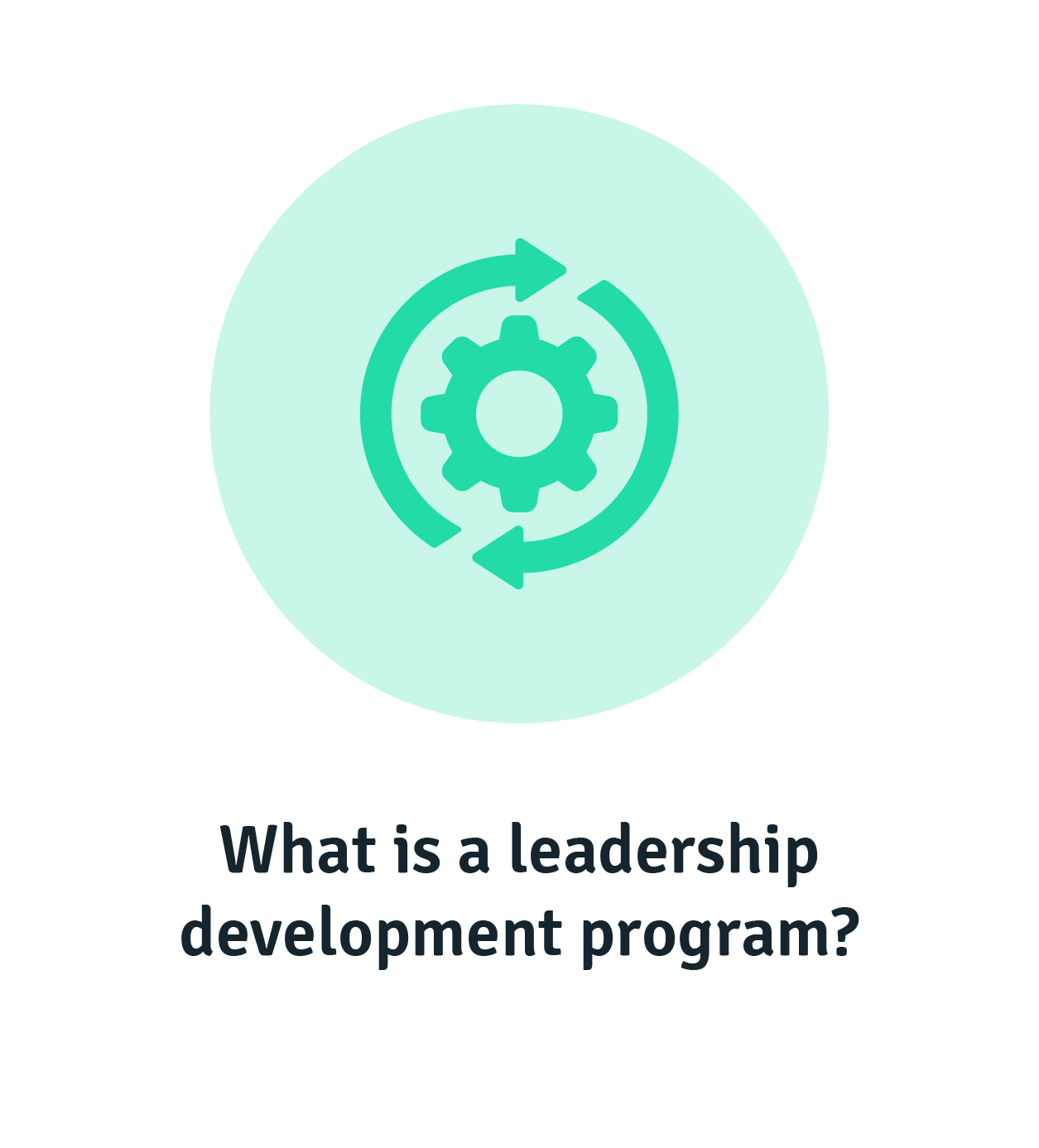 What is a leadership development program?