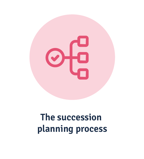 The succession planning process