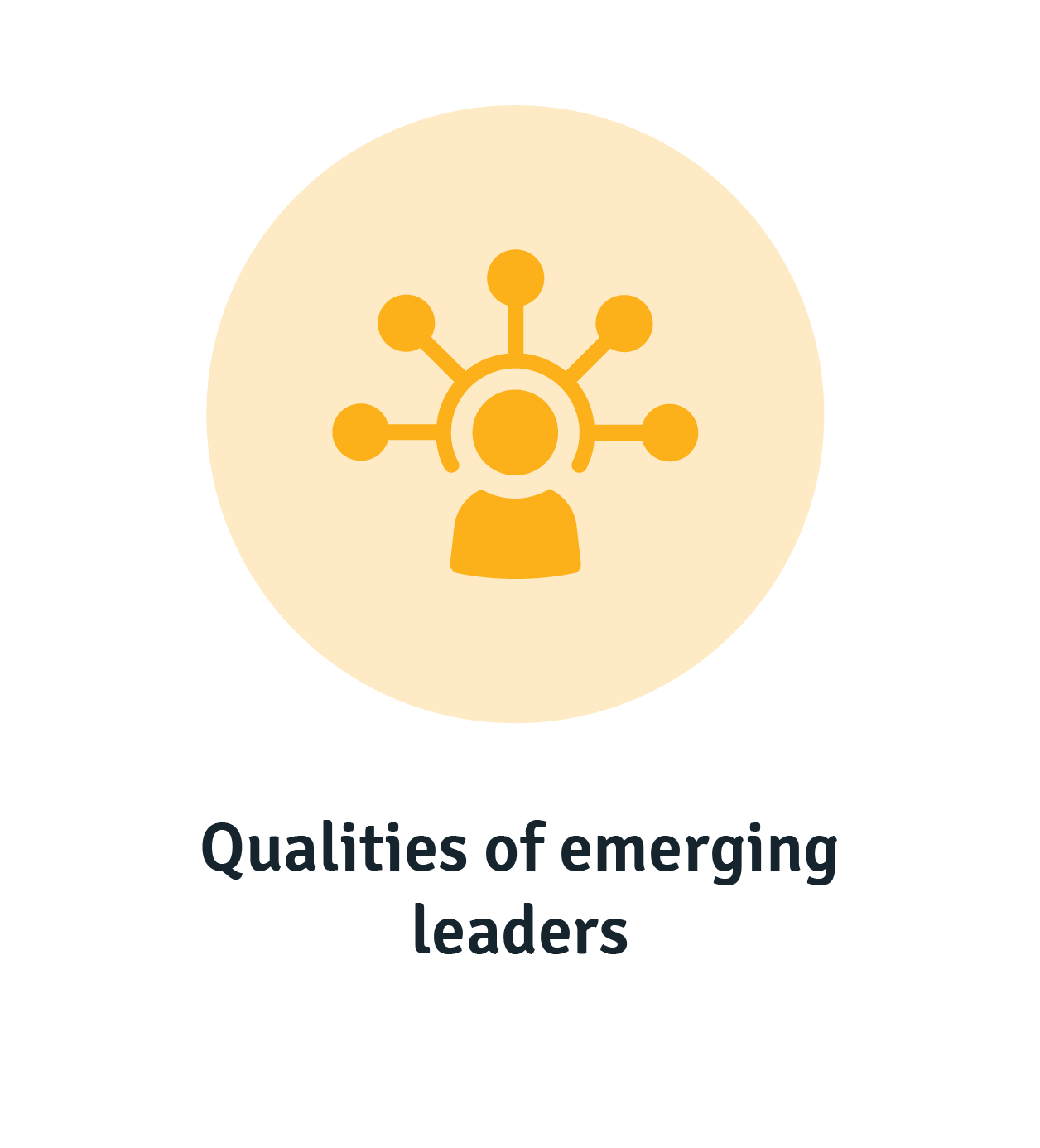 Qualities of emerging leaders to identify