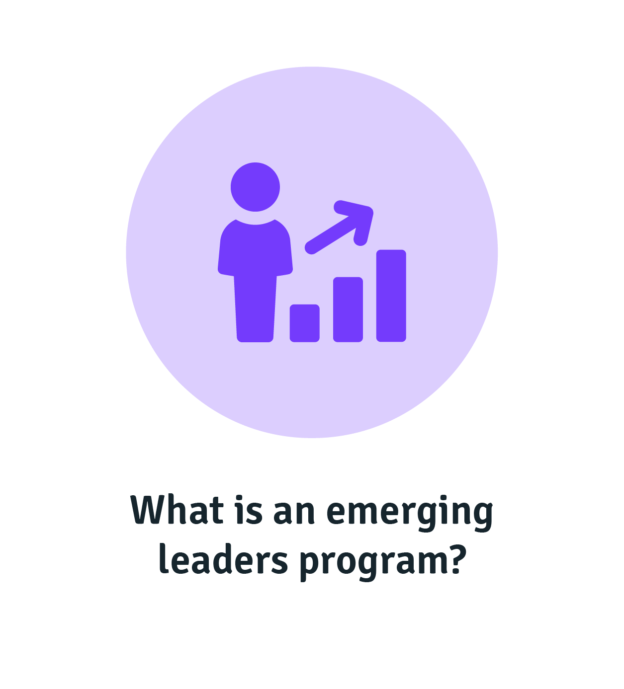 What is an emerging leaders program