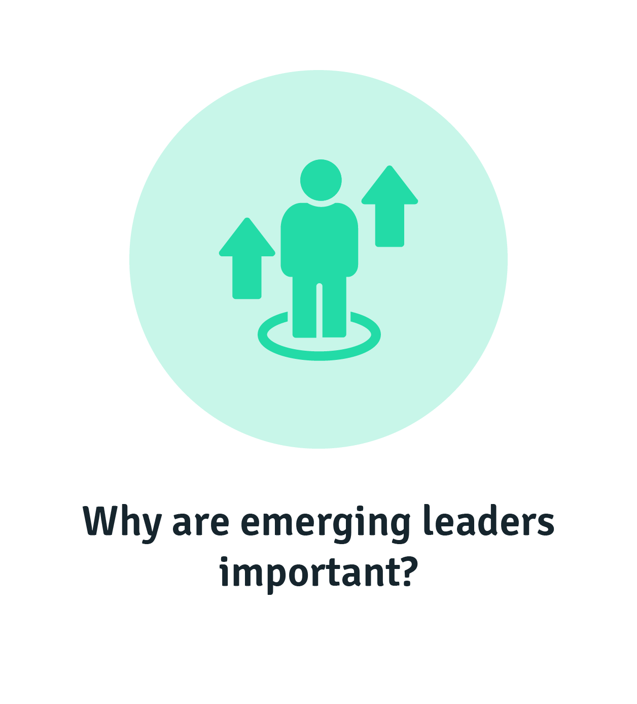 Why are emerging leaders important