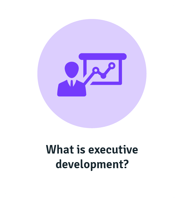 What is executive development?