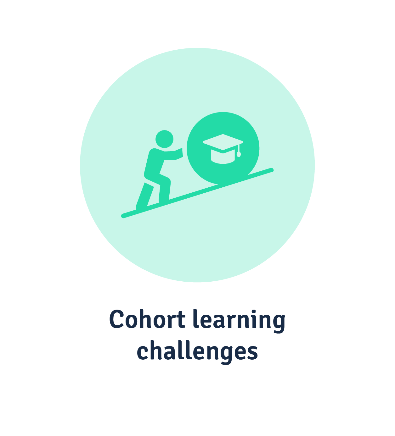 Cohort learning challenges