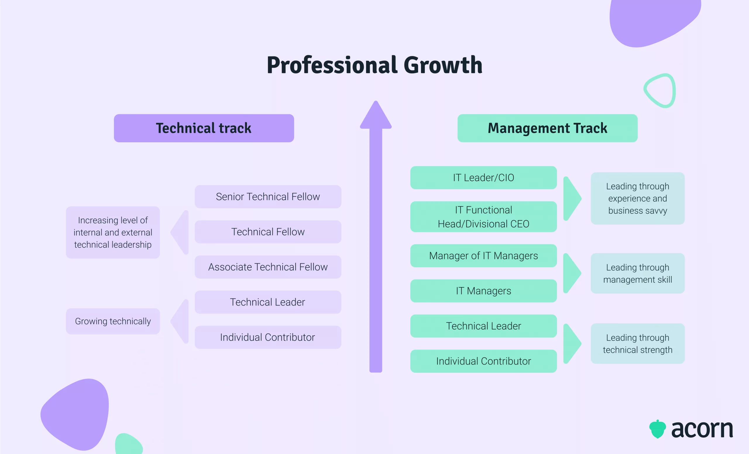 Infographic showing the dual career track for technical leaders