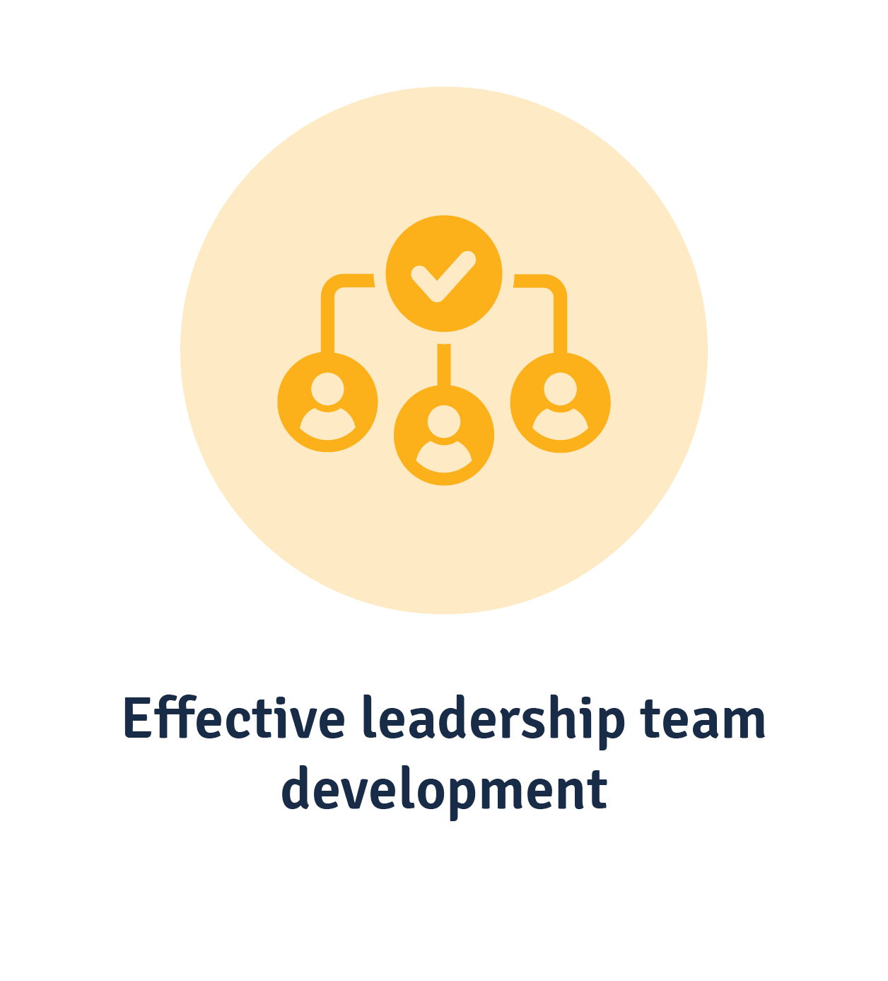 Effective leadership team development