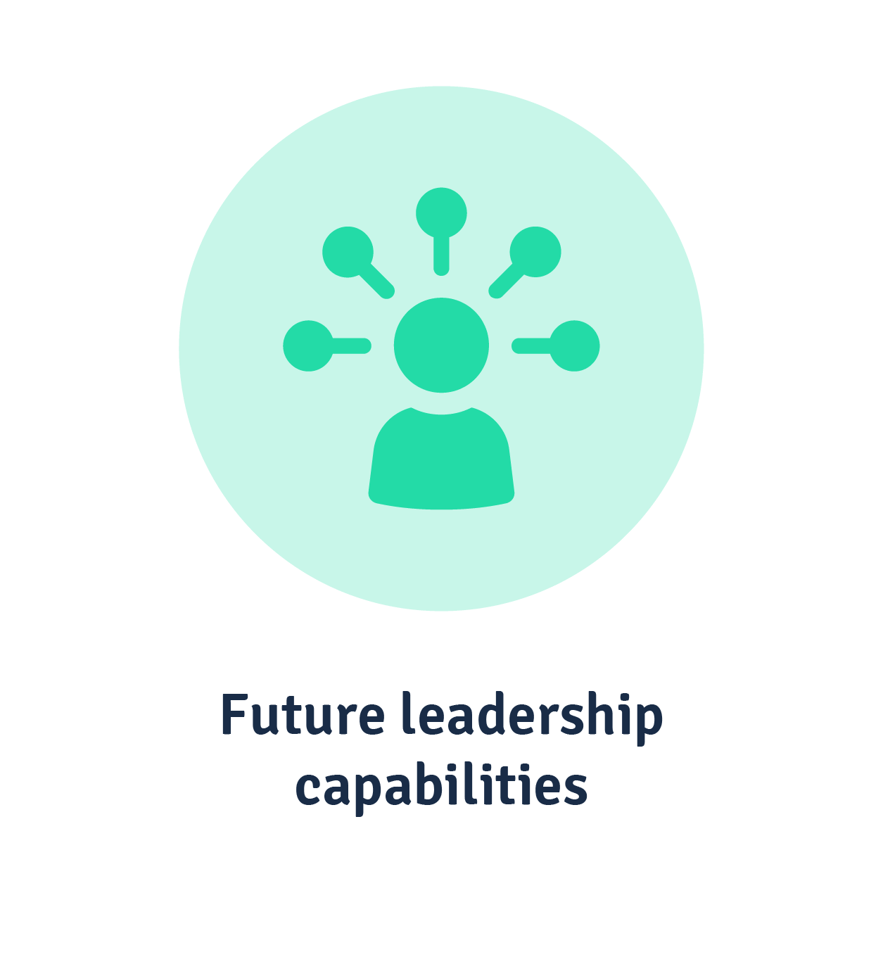 Future leadership capabilities