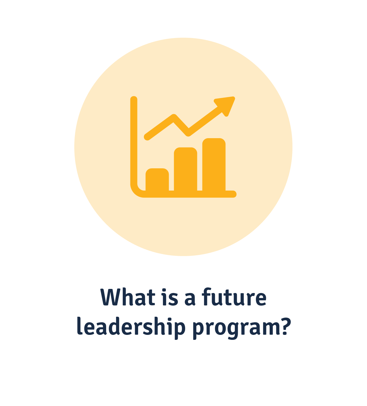What is a future leadership program