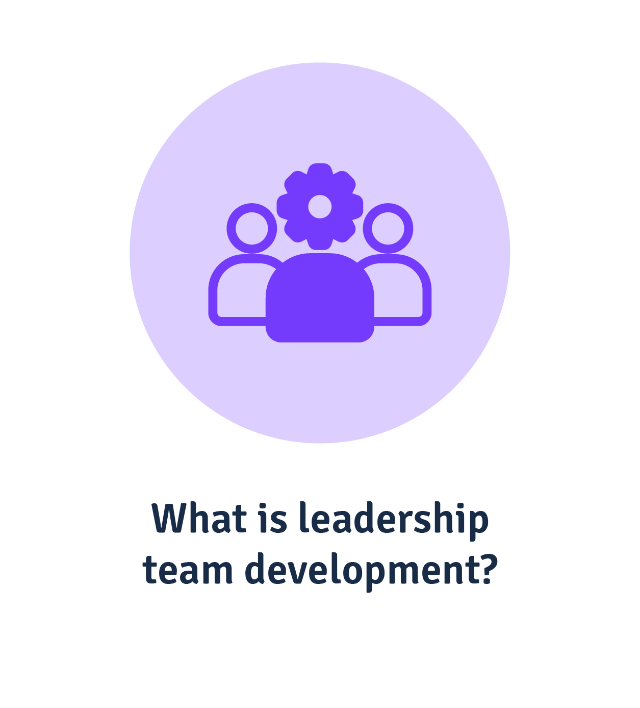 What is leadership team development?