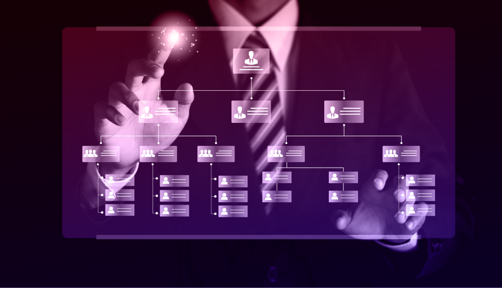 How to Build a Capability Framework with Software